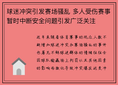 球迷冲突引发赛场骚乱 多人受伤赛事暂时中断安全问题引发广泛关注